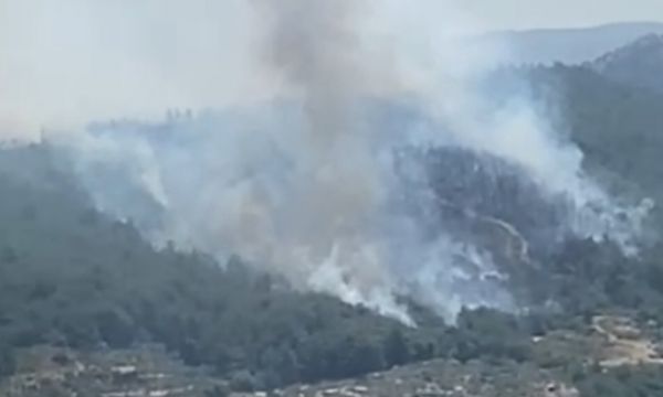 İzmir'de orman yangını!